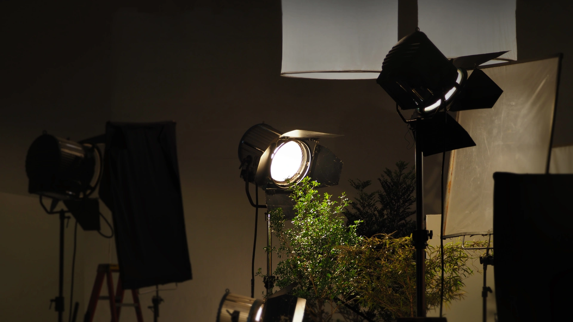 샵CLH엔터테인먼트