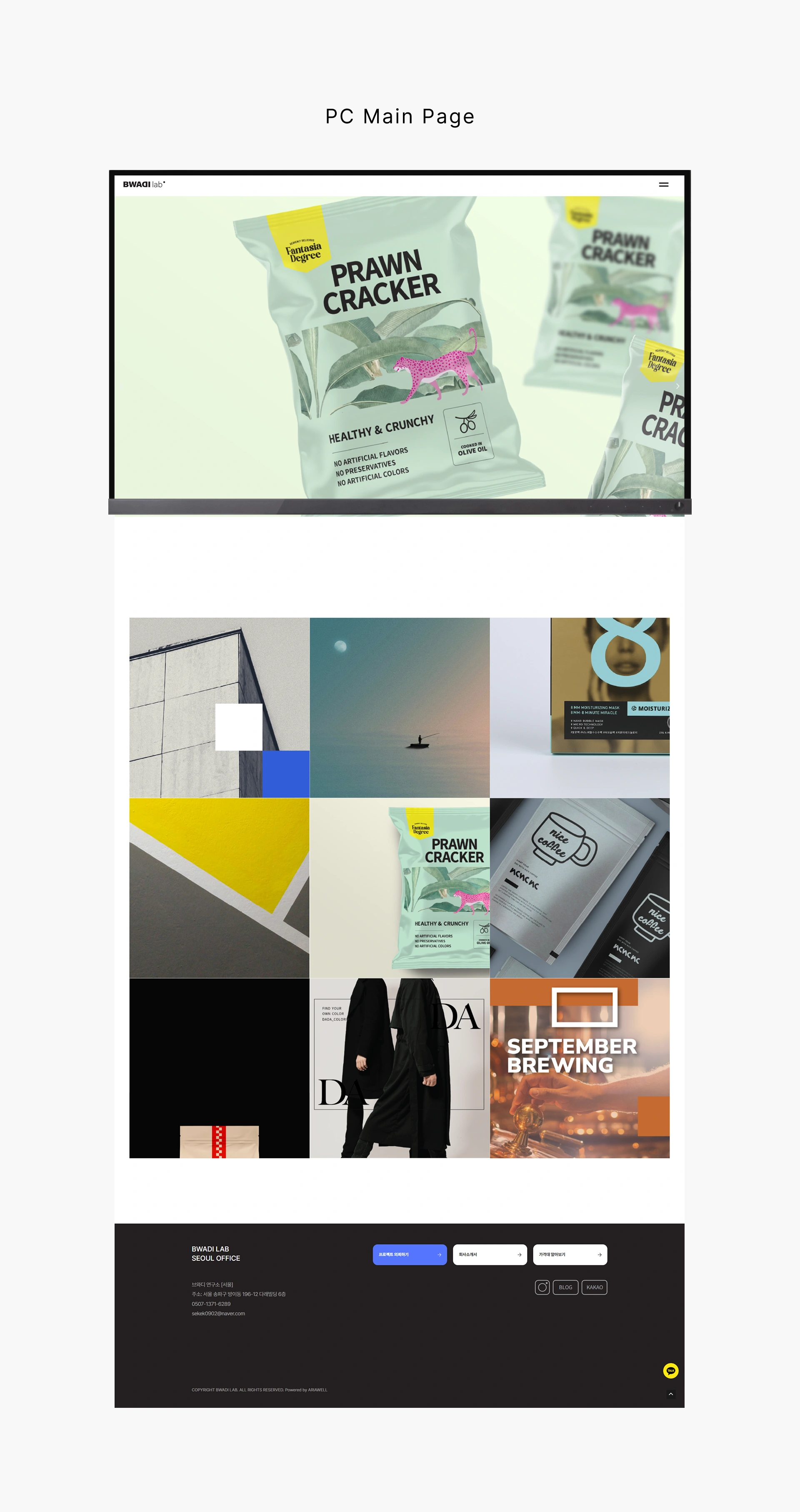 브와디연구소 - 1