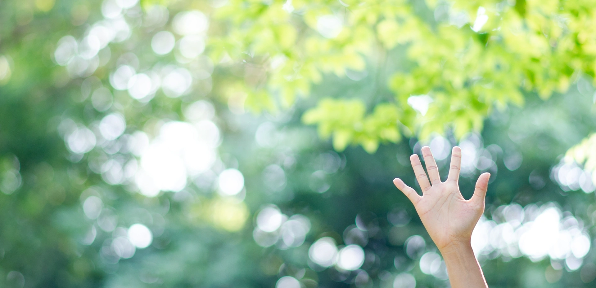 홈앤코스메디칼